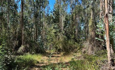 Venta terreno El Recodo - San Pedro de la Paz