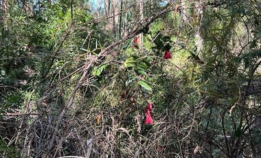 Venta terreno El Recodo - San Pedro de la Paz