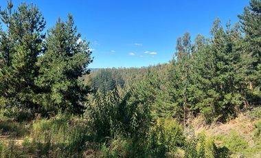 Venta terreno El Recodo - San Pedro de la Paz