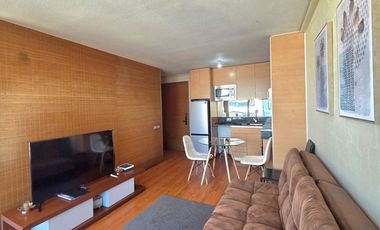 Dpto Ideal para Profesionales en Providencia