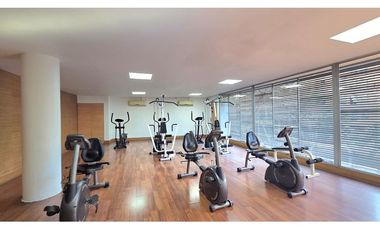 Dpto Ideal para Profesionales en Providencia