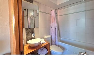 Dpto Ideal para Profesionales en Providencia