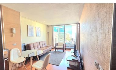 Dpto Ideal para Profesionales en Providencia