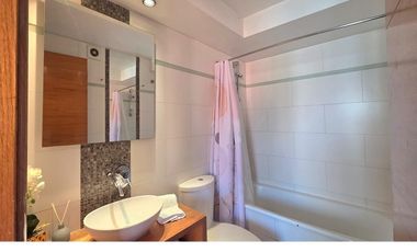 Dpto Ideal para Profesionales en Providencia