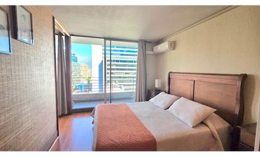 Dpto Ideal para Profesionales en Providencia