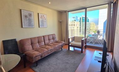 Dpto Ideal para Profesionales en Providencia