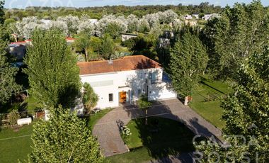 Fincas Golf, Fincas de San Vicente