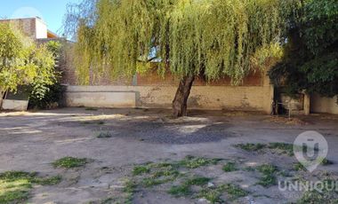 Casa en  Alquiler en centro de Cipolletti ideal para proyectos comerciales consultorios médicos oficinas comerciales