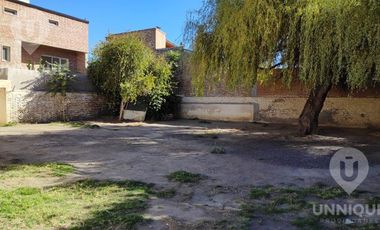 Casa en  Alquiler en centro de Cipolletti ideal para proyectos comerciales consultorios médicos oficinas comerciales