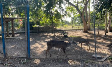 Rancho las cuatas en Venta en Altamira Tamaulipas.