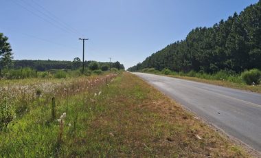 Quinta en Puerto Yerua