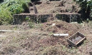 Terreno en Venta en Fracc. San José, Coatepec, Ver.