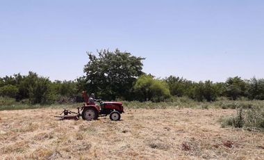 Terreno en San Vicente