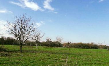 Terreno en San Vicente