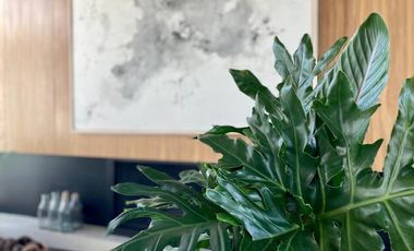 Casa en construcción  en Barrio Virazón - Nordelta