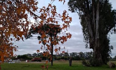 Terreno en Countries/B.Cerrado (San Vicente)