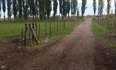 En Venta, Chacras Productivas de 34 Ha, Entre Lamarque y Pomona.