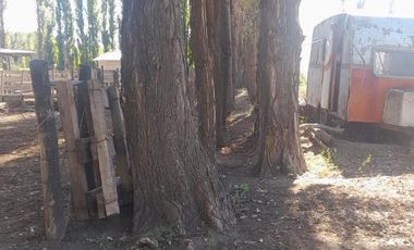 En Venta, Chacras Productivas de 34 Ha, Entre Lamarque y Pomona.