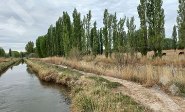 En Venta, Chacras Productivas de 34 Ha, Entre Lamarque y Pomona.