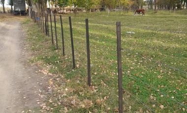 En Venta, Chacras Productivas de 34 Ha, Entre Lamarque y Pomona.