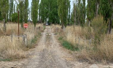 En Venta, Chacras Productivas de 34 Ha, Entre Lamarque y Pomona.