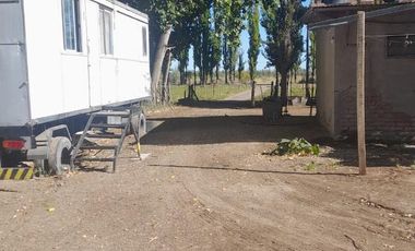 En Venta, Chacras Productivas de 34 Ha, Entre Lamarque y Pomona.