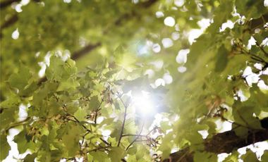 Lote Preventa en Pilar Chico con Financiación