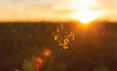 Preventa Lote Central en Pilar Chico con Financiación
