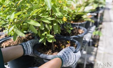 Preventa Lote Central en Pilar Chico con Financiación