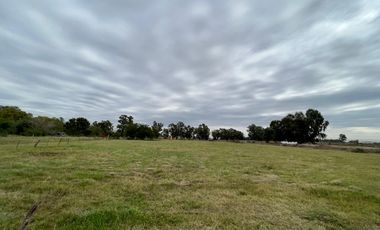 Terreno - San Vicente