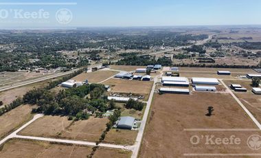 LOTE EN VENTA EN PARQUE INDUSTRIAL SAN VICENTE  ZONA SUR - ETAPA 1 - 3995m2