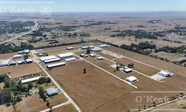 LOTE EN VENTA EN PARQUE INDUSTRIAL SAN VICENTE  ZONA SUR - ETAPA 1 - 3995m2