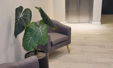 ALQUILER OFICINA A ESTRENAR - CIPOLLETTI