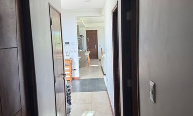 Parcela en arriendo de 5000m2 ubicado en Centro de Olmué