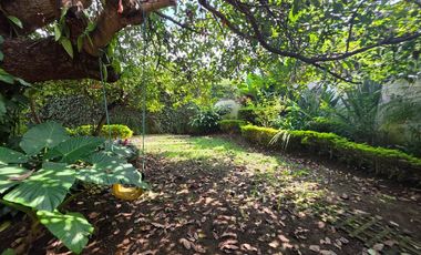 Casa en renta céntrica en Uruapan (ideal para habitar o comercio).