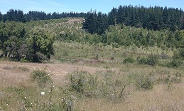 Parcela Casa Semi terminada con 5000 M2