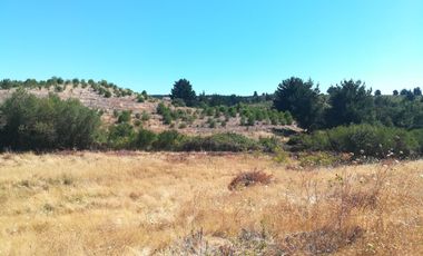 Parcela Casa Semi terminada con 5000 M2