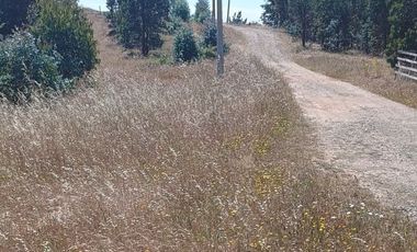 Parcela Casa Semi terminada con 5000 M2