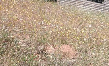 Parcela Casa Semi terminada con 5000 M2