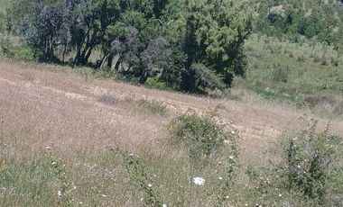 Parcela Casa Semi terminada con 5000 M2