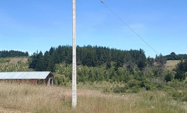 Parcela Casa Semi terminada con 5000 M2