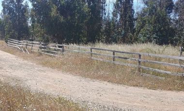 Parcela Casa Semi terminada con 5000 M2