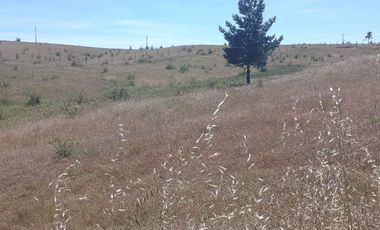 Parcela Casa Semi terminada con 5000 M2