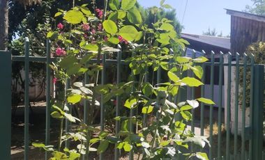 VILLA RAFAEL SOTOMAYOR