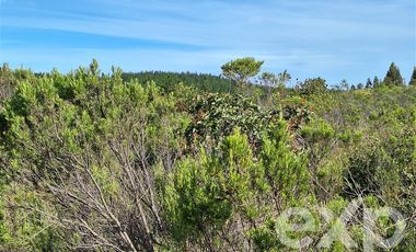 Terreno Construccion en Venta en Vende Lote 5000 Aguada de Bucalemu