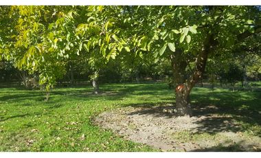 D9426949- Venta Parcela Camino San León Grande-13706Mts