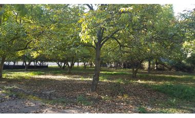 D9426949- Venta Parcela Camino San León Grande-13706Mts