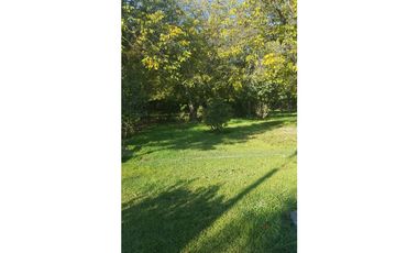 D9426949- Venta Parcela Camino San León Grande-13706Mts