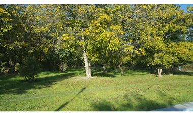 D9426949- Venta Parcela Camino San León Grande-13706Mts
