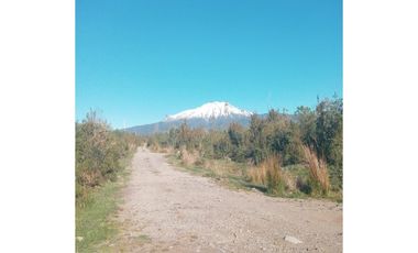 D9427083- Venta Parcela Alto Río Pescado - 5941Mts2